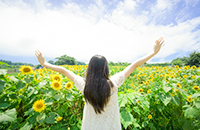 自由に旅行気分を味わえる